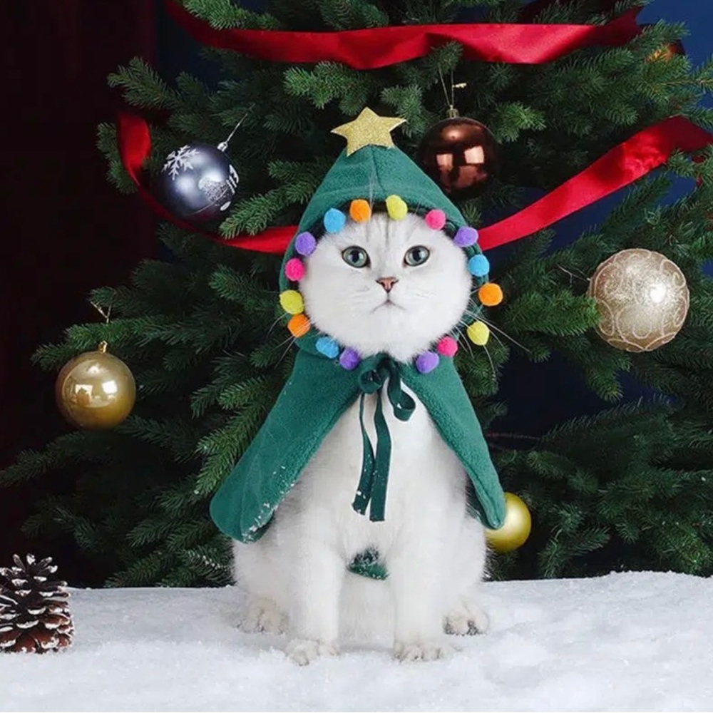 Pet Christmas Costume Xmas Cloak with Star and Pompoms Cat Santa Cape